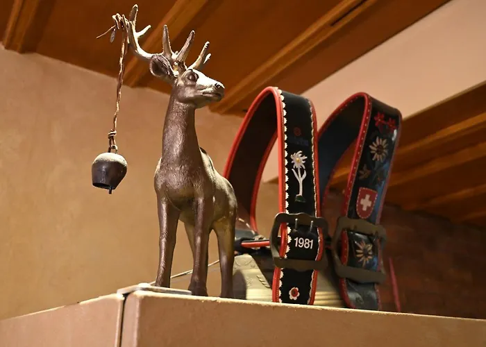 伯尔尼钟楼背包客旅舍 旅馆 伯尔尼