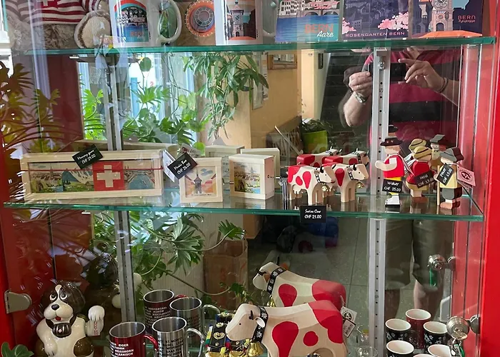 旅馆 伯尔尼钟楼背包客旅舍 *